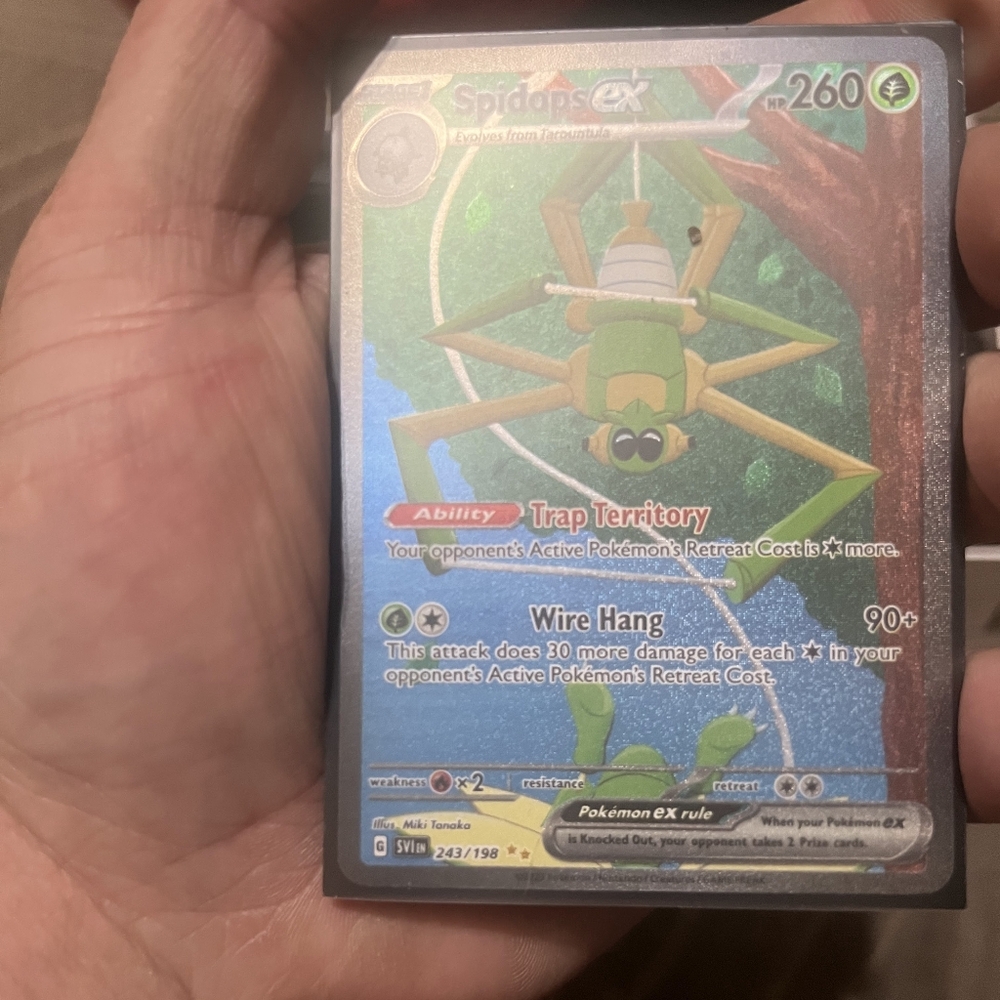 Spider Reptile Card